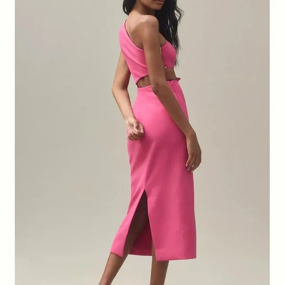 PatBO One-Shoulder Pink Appliqué Midi-Dress - Picture 4 of 5